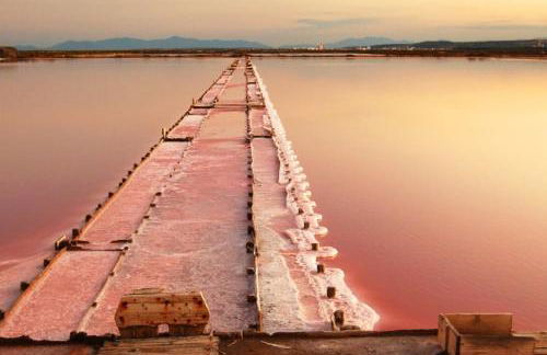 Appartement Iris Résidence les Grenadines - Foto 11