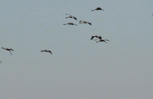 Summer freshness Comfortable holiday residence - Foto 35