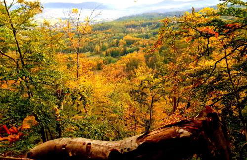 Michałówka Michaelhof - Foto 65