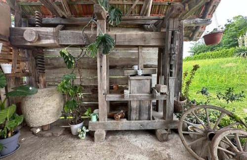 Apartman Perla - Foto 33