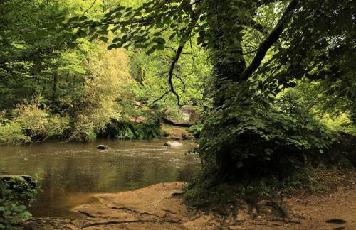 Appartement indépendant, terrasse couverte, rouge - Foto 7