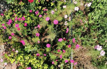 Kardiakafti Village - Foto 58