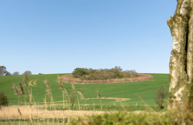 3 bedroom House in Broager with terrace and sauna - Photo 25