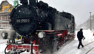 Waldhaus zur Kleinbahn - Foto 5