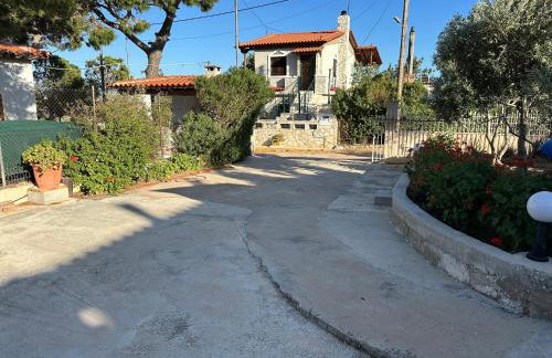 Elenas House - Foto 23