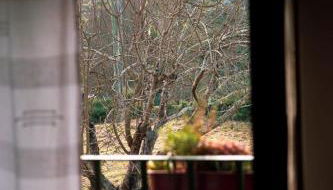 Casa Senhor da Ponte - Foto 5