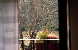 Casa Senhor da Ponte - Foto 5