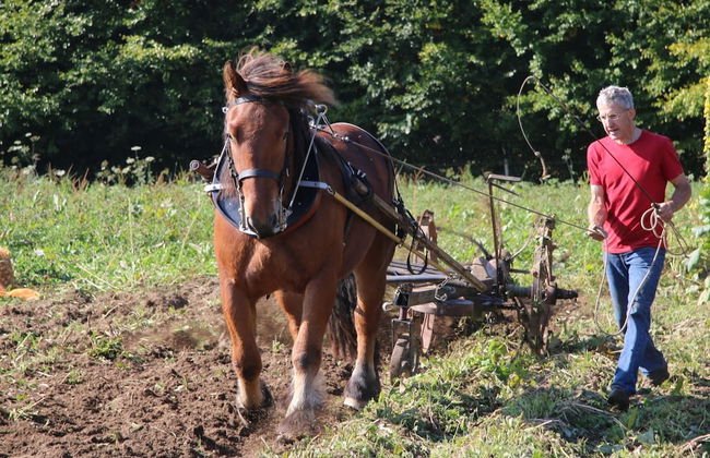 Cozy Farmhouse Near Houffalize - Photo 18