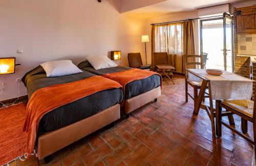 Horta da Quinta - Foto 12