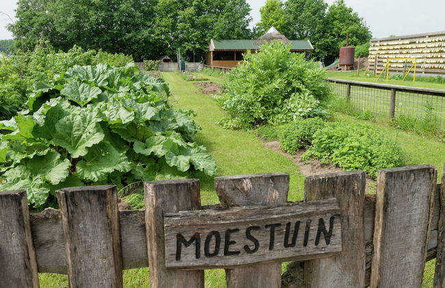 Peaceful Farmside Bungalow - Photo 32