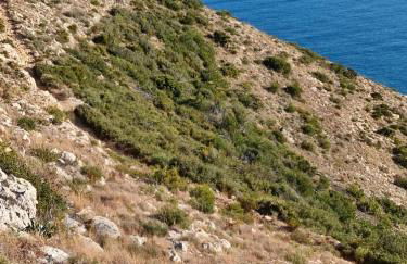 Appartement Cala Blanca - Foto 45