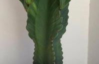 New Seaviews Apartment Puerto Mogán - Foto 29