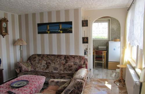 zum Wiesengrund im Oderbruch - Foto 5