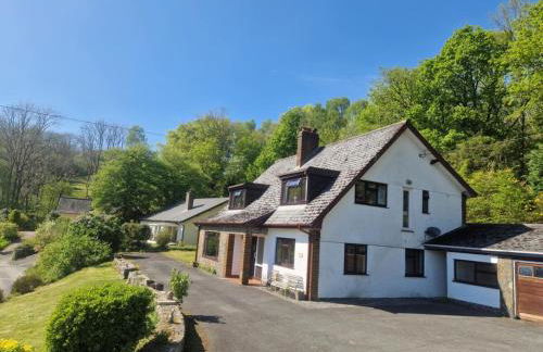 Y Fedw Wen - Foto 20