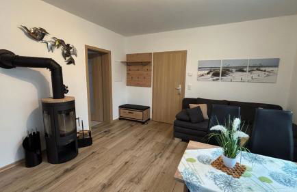 Muschel am Strand - Foto 6