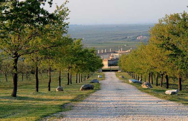 Lama di Luna Biomasseria - Foto 45