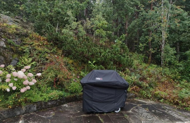 Edvard Munch's Sanctuary - Quiet, but not so far From Oslo - Photo 24