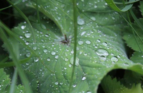 Haus am Fischendorfer Bach - Foto 12