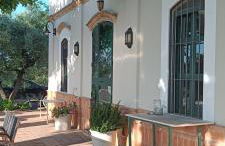 Finca Olivo Llorón - Foto 8