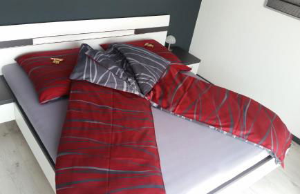 bodensee-fewo Modernes & TOP-ausgestattetes Appartement incl Netflix, Fahrradgarage - Foto 40