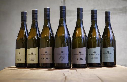 Gästehaus im Weingut am Stein - Photo 13