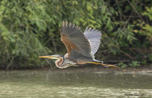 A Casa di Bruna - Foto 71