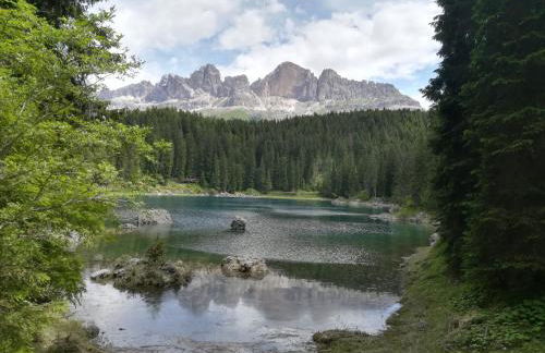 Residence Grand Hotel Carezza - Foto 54