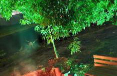 Lugar Aconchecante - Foto 27