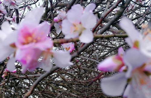 Raquet 2 Comfortable holiday residence - Foto 22