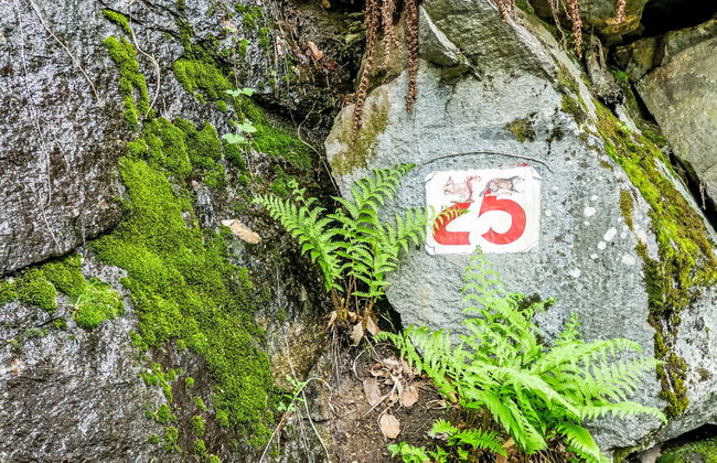 Rustico 1787 - Foto 28