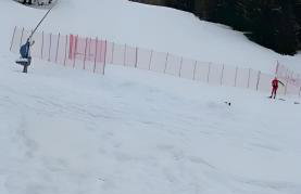 Appartamento Viola - Foto 15