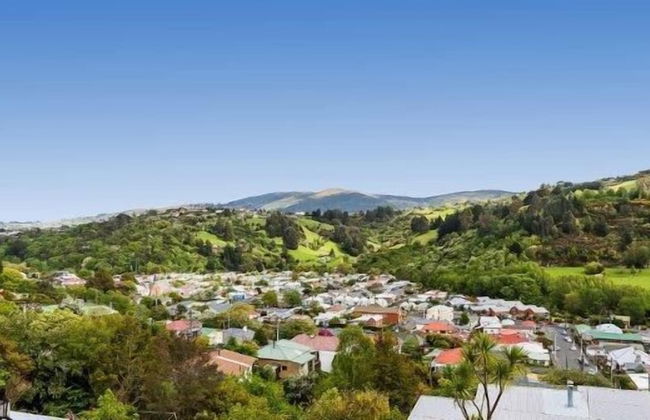 Baldwin Street BNB - Foto 30