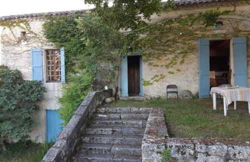 En pleine nature ! - Foto 4