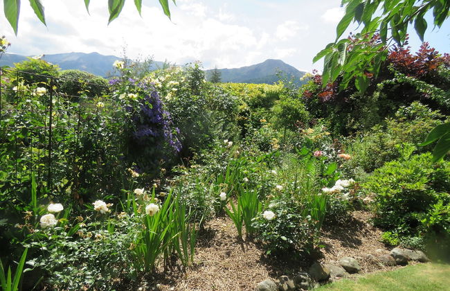 Marchmont Gardens - Photo 38