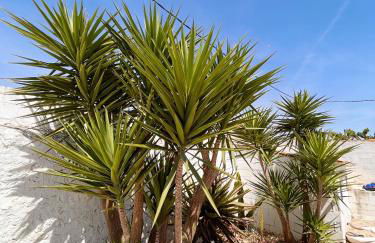 Villa galana - Foto 8