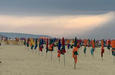 Horizon Bleu - Photo 16