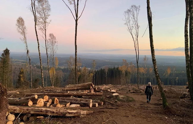 Holiday Homes in the Schierke Harzresort, Schierke - Photo 80