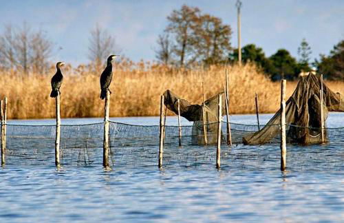 Casa Marana - Foto 34