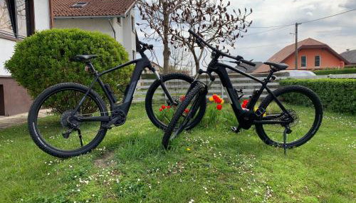 Holiday Home Međimurski Raj - Foto 4