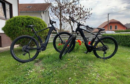 Holiday Home Međimurski Raj - Foto 4