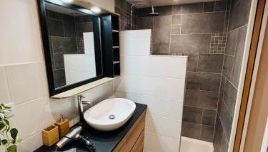 Charming Duplex with balcony - Huez - Photo 5, Shower