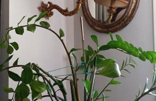 Homecoming apartment - Foto 8