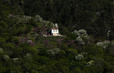 Mountain Serenity - Foto 7