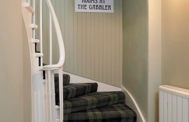 Downright Gabbler - Foto 2