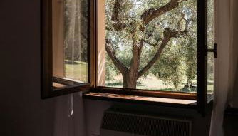 Tenuta Querce Grosse- Le Dimore - Foto 5