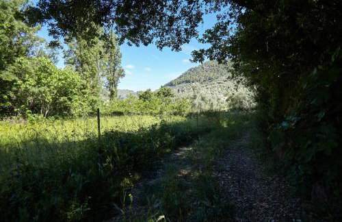 Cortijo el Soto - Foto 7