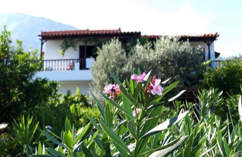 Tiki Rooms - Foto 46