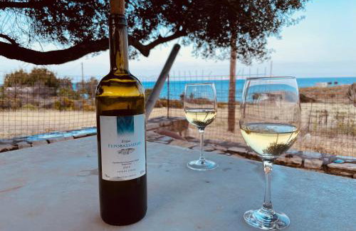 Anevalousa Beach House - Foto 51