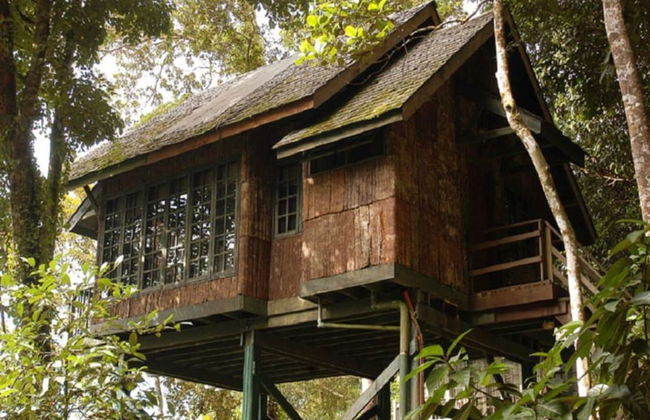 Permai Rainforest Resort - Foto 7