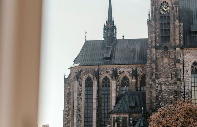 Luxury Apartments Zelny Trh 4 - Photo 12